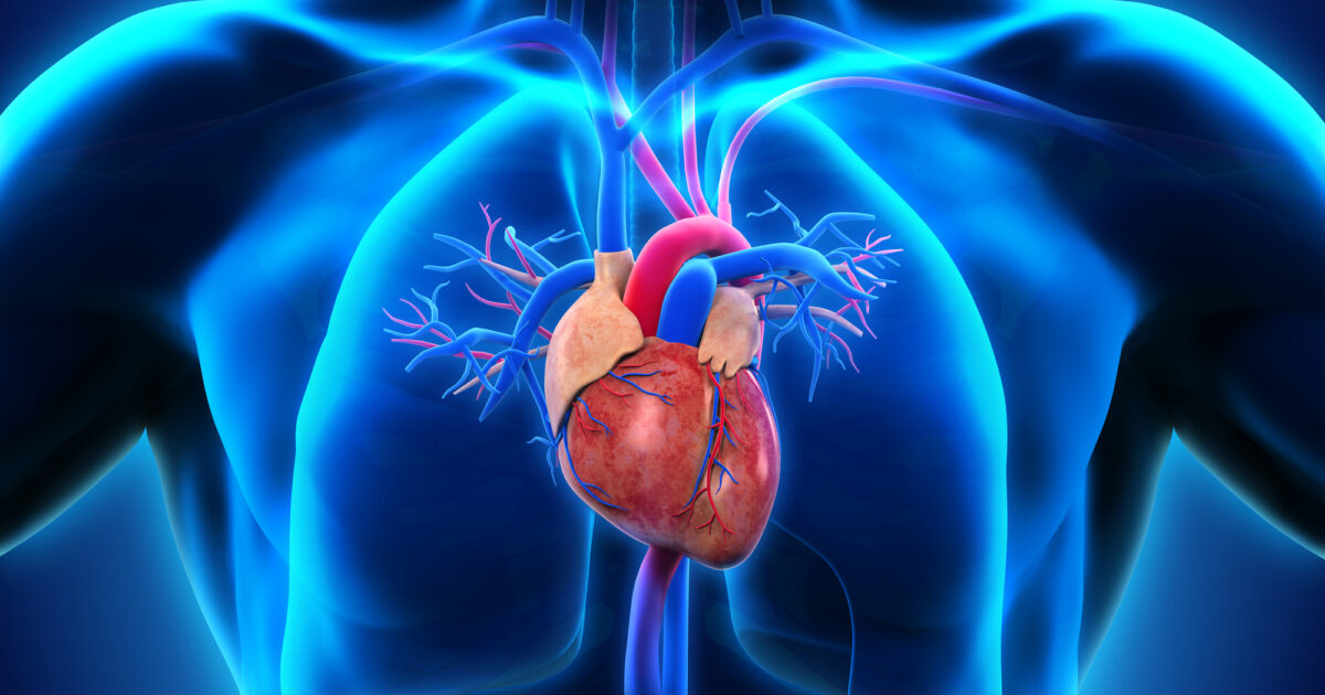 New approaches to prevent heart disease in women
