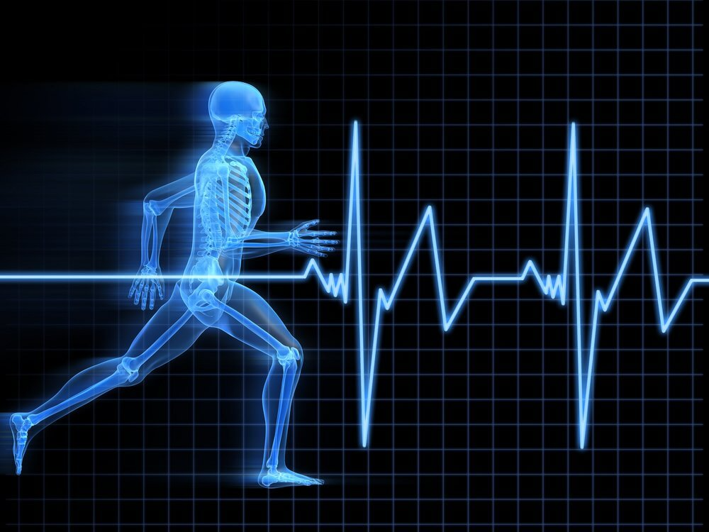 What is a normal Heart Rate/beat? for human body