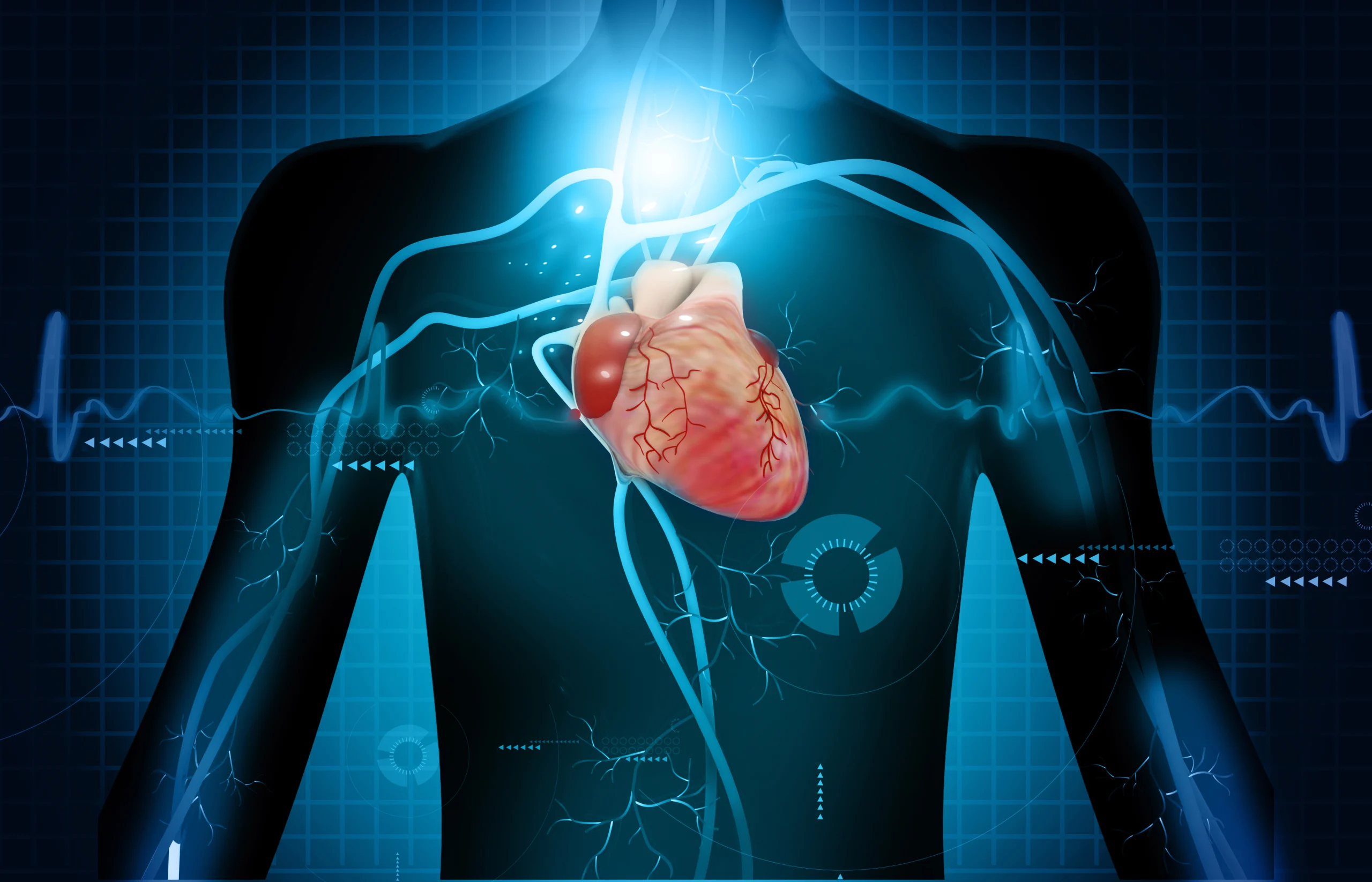 Illustration of a human torso with a glowing heart and arteries on a blue digital grid background, representing advanced medical technology and Heart Checkup Packages in Dubai.