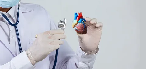 A doctor in a white coat and gloves holds a heart model in one hand and a stethoscope in the other, symbolizing healthcare and cardiology. The scene emphasizes expert cardiac care and modern medical practice, incorporating the keyphrase Top 10 Cardiologist in dubai for SEO relevance.