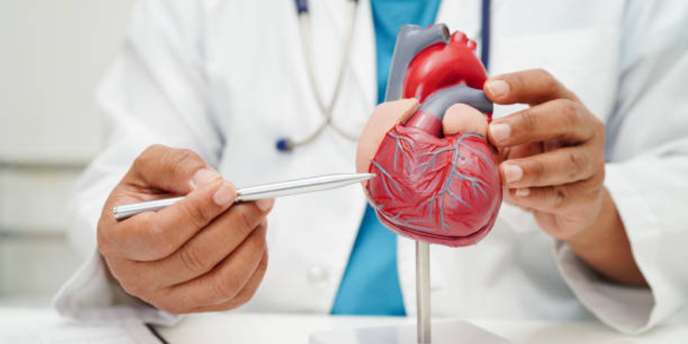 Heart Specialist in Dubai providing expert cardiac care and heart disease treatment