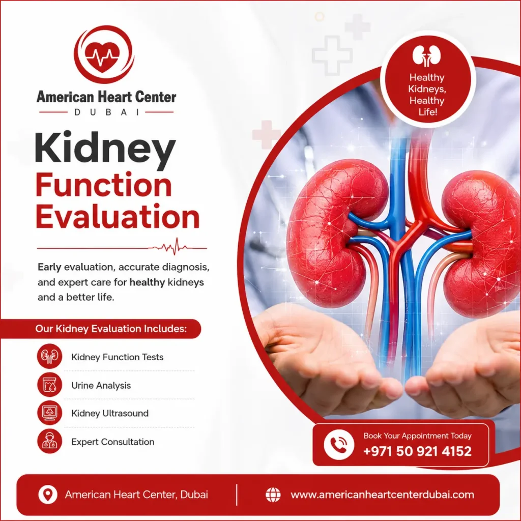 Kidney Function Evaluation in Dubai | American Heart Center Dubai