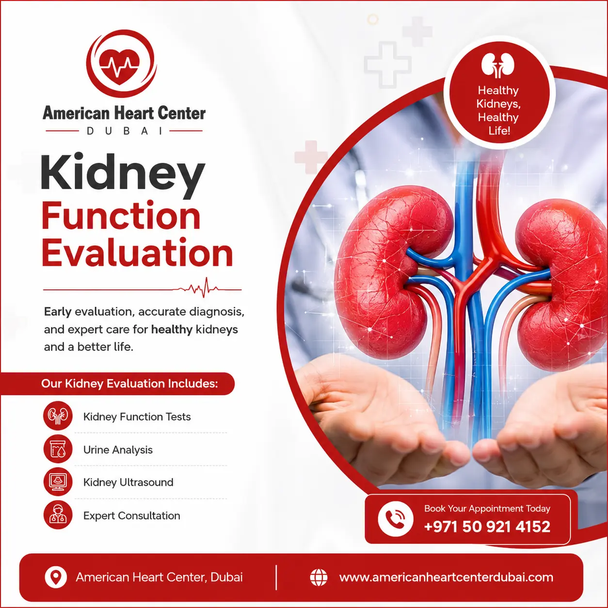 Kidney Function Evaluation in Dubai | American Heart Center Dubai